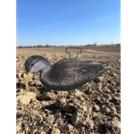 Decoy Daddy BLACK DUCK SILHOUETTES