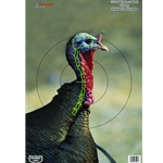 BIRCHWOOD CASEY PREGAME TURKEY