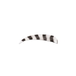 CAN-ARC BARRED FEATHERS FLO WHITE - 12PK