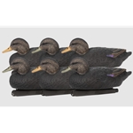 ZINK BLACK DUCK FLOATER DECOY 6PK