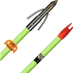 AMS CHAOS ARROW