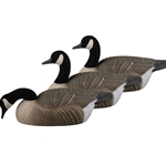 GHG ES CANADA GOOSE SHELLS 12PK (GHG-70005)