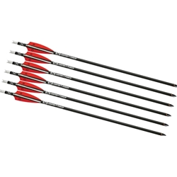 TEN POINT HEA7506