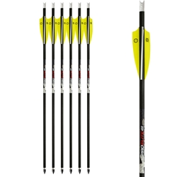 TEN POINT TCTPB6606