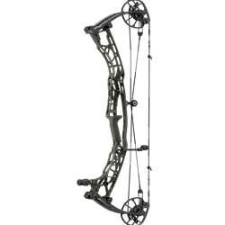 HOYT ALPHA AX-3 33 RH WILDERNESS