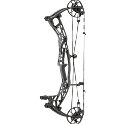 HOYT ALPHA AX-3 29 RH TOMBSTONE