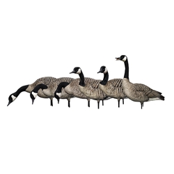 AVIAN X FUSION HONKER GOOSE