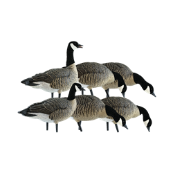 AVIAN X AVX-LESS-6PK