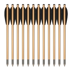 BEAR DESIRE BOLTS 12PK