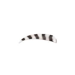 CAN-ARC BARRED FEATHERS FLO WHITE - 12PK