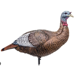 FLEXTONE THUNDER CHICK UPRIGHT