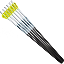 EXCALIBUR PROFLIGHT 18" BOLTS, 6PK  (22EXP18-6)