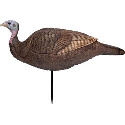 PRIMOS LIL GOBSTOPPER HEN