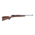 22WMR G Bolt